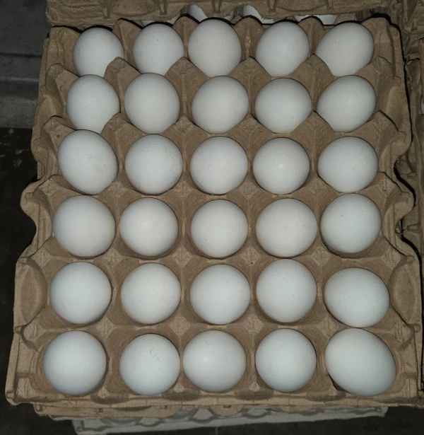 HUEVOS SUELTOS's foto | Villafranca Shop |  BizneCubano